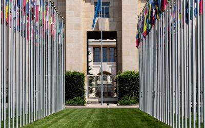 Partita iva consulenti Onu
