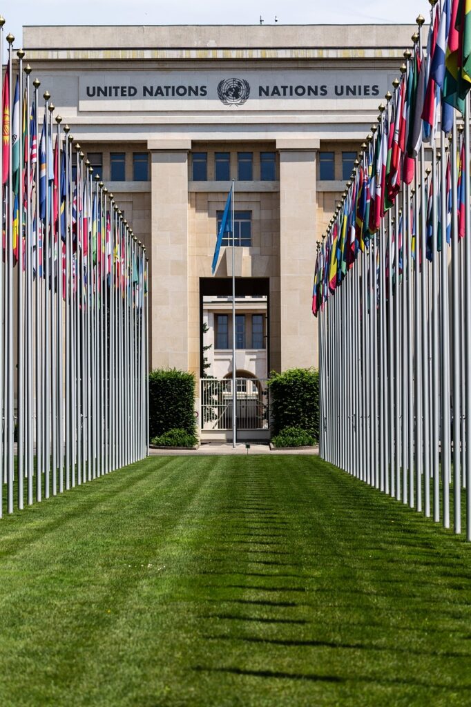Partita iva consulente Onu
