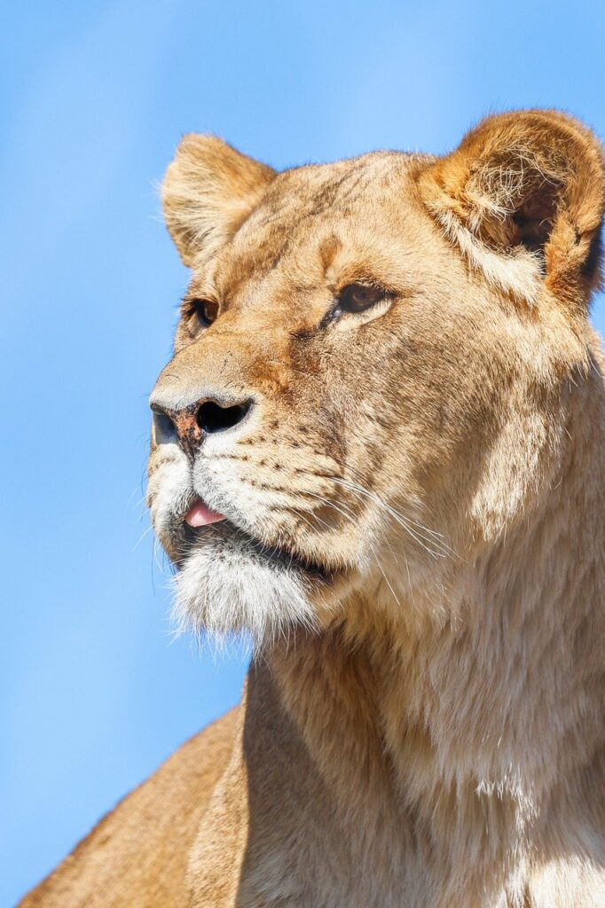 .Hai solo sette giorni per la dichiarazione iva tardiva