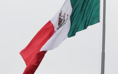 Regime forfettario impatriati 2026: Cosa Sapere